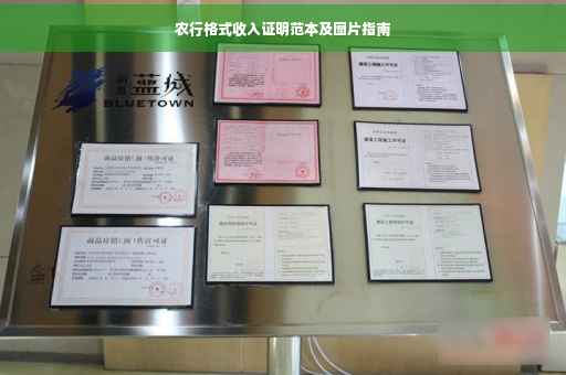 农行格式收入证明范本及图片指南