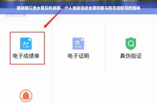揭秘银行流水背后的真相，个人金融活动全面观察与防范造假风险揭秘