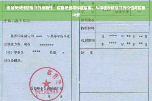 重量及规格证明书的重要性、应用场景与样板解读，从样板看证明书的价值与应用场景