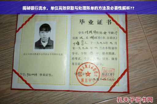 揭秘银行流水，单位高效获取与处理账单的方法及必要性解析??