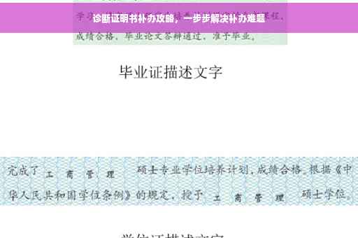 诊断证明书补办攻略，一步步解决补办难题