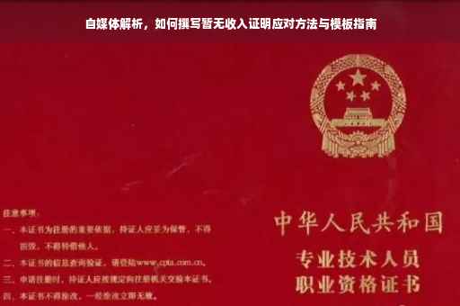 自媒体解析，如何撰写暂无收入证明应对方法与模板指南