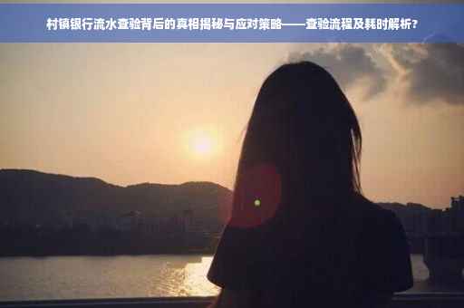 村镇银行流水查验背后的真相揭秘与应对策略——查验流程及耗时解析?