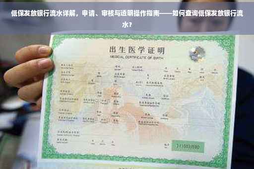 低保发放银行流水详解，申请、审核与透明操作指南——如何查询低保发放银行流水？