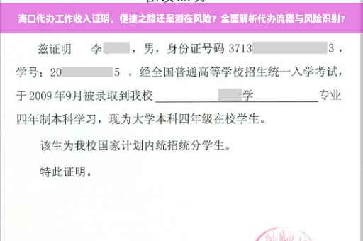 海口代办工作收入证明，便捷之路还是潜在风险？全面解析代办流程与风险识别?