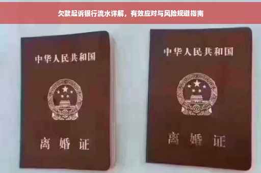 欠款起诉银行流水详解，有效应对与风险规避指南