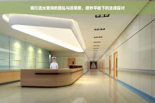 银行流水查询的隐私与透明度，微妙平衡下的法律探讨