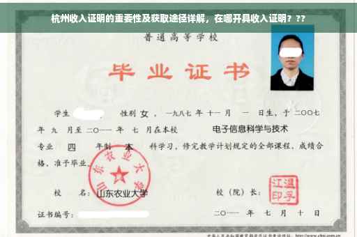 杭州收入证明的重要性及获取途径详解，在哪开具收入证明？??