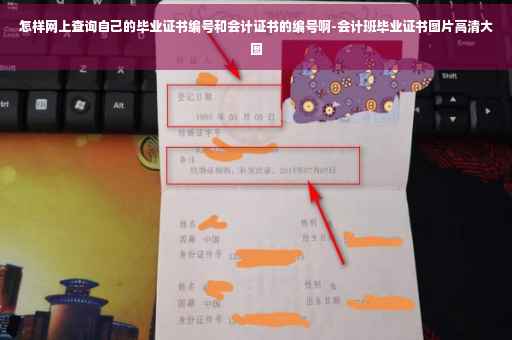 怎样网上查询自己的毕业证书编号和会计证书的编号啊-会计班毕业证书图片高清大图