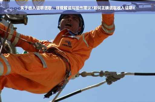 关于收入证明调取，详细解读与操作建议?如何正确调取收入证明？
