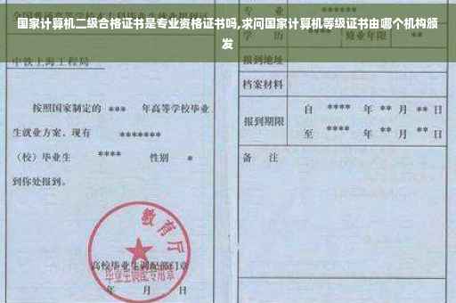 国家计算机二级合格证书是专业资格证书吗,求问国家计算机等级证书由哪个机构颁发