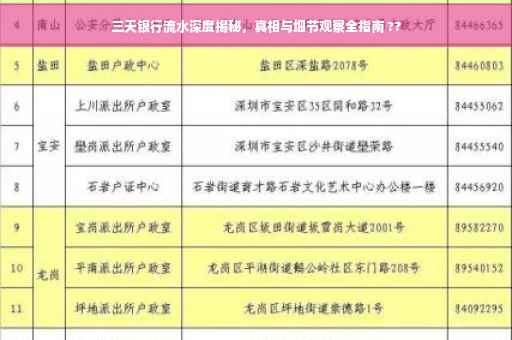 三天银行流水深度揭秘，真相与细节观察全指南 ??