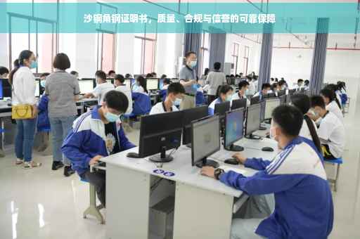 沙钢角钢证明书，质量、合规与信誉的可靠保障