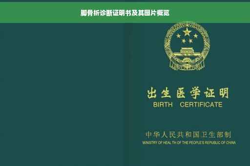 脚骨折诊断证明书及其图片概览