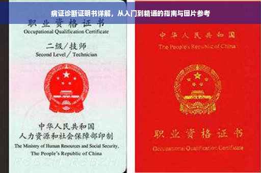 病证诊断证明书详解，从入门到精通的指南与图片参考