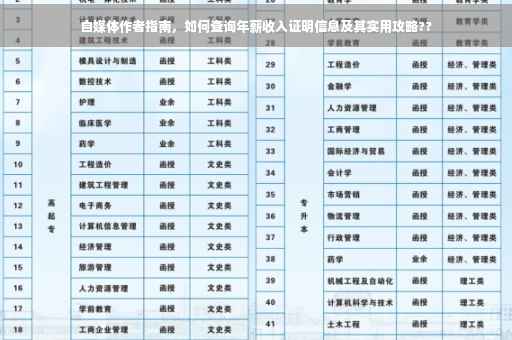 自媒体作者指南，如何查询年薪收入证明信息及其实用攻略??