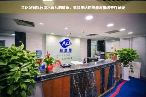 全职妈妈银行流水背后的故事，贷款生活的挑战与机遇并存记录