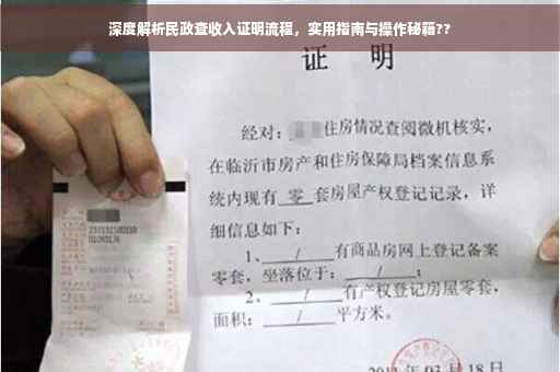 深度解析民政查收入证明流程，实用指南与操作秘籍??