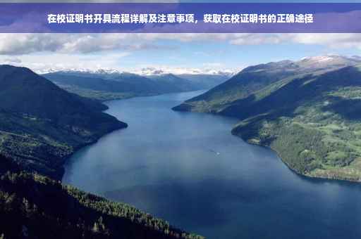 在校证明书开具流程详解及注意事项，获取在校证明书的正确途径