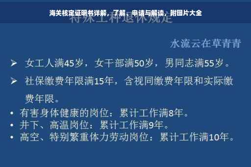 海关核定证明书详解，了解、申请与解读，附图片大全