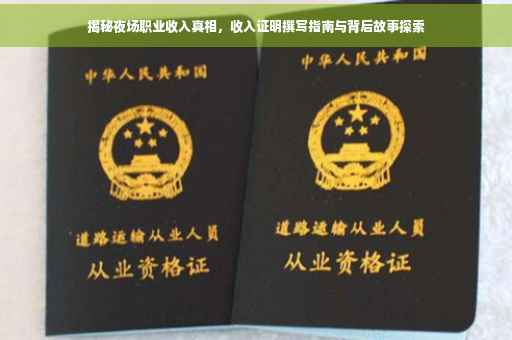 揭秘夜场职业收入真相，收入证明撰写指南与背后故事探索