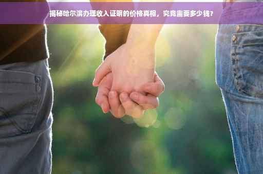揭秘哈尔滨办理收入证明的价格真相，究竟需要多少钱？