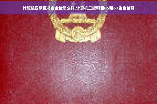 计算机四级证书含金量怎么样,计算机二级科目65和67含金量高