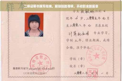 二级证明书撰写指南，解锁技能等级，开启职业新篇章