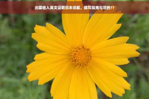 出国收入英文证明范本详解，撰写指南与范例??