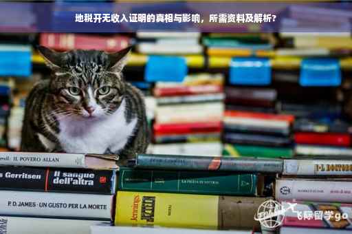 地税开无收入证明的真相与影响，所需资料及解析?