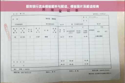 薪资银行流水模板解析与解读，模板图片及解读指南