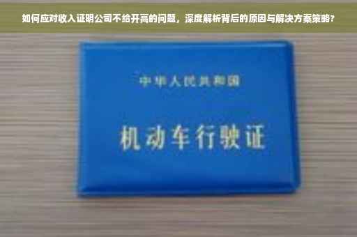 如何应对收入证明公司不给开高的问题，深度解析背后的原因与解决方案策略?