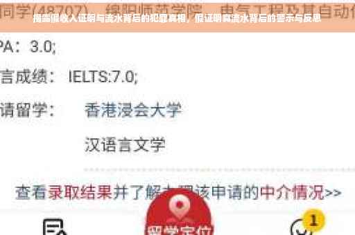 揭露假收入证明与流水背后的犯罪真相，假证明真流水背后的警示与反思