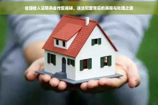 低保收入证明弄虚作假揭秘，违法犯罪背后的真相与处理之道