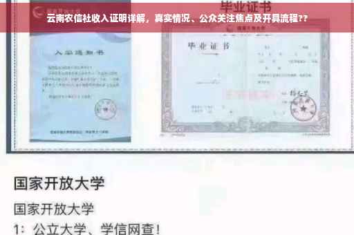 云南农信社收入证明详解，真实情况、公众关注焦点及开具流程??