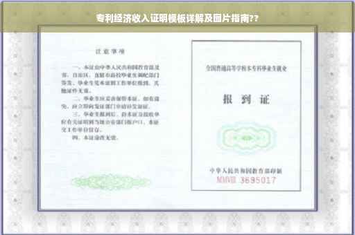 专利经济收入证明模板详解及图片指南??