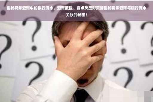 揭秘税务查账中的银行流水，查账流程、要点及应对策略揭秘税务查账与银行流水关联的秘密！