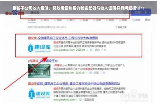揭秘子公司收入证明，高效运营体系的秘密武器与收入证明开具问题探讨??