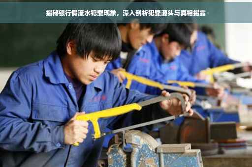揭秘银行假流水犯罪现象，深入剖析犯罪源头与真相揭露