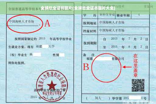 全球毕业证书图片(全球毕业证书图片大全)