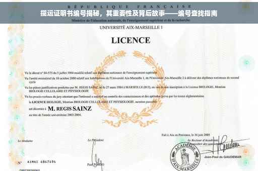 揽运证明书编号揭秘，其重要性及背后故事——编号查找指南