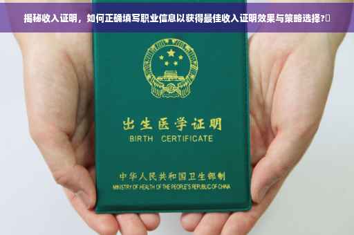 揭秘收入证明，如何正确填写职业信息以获得最佳收入证明效果与策略选择?✨