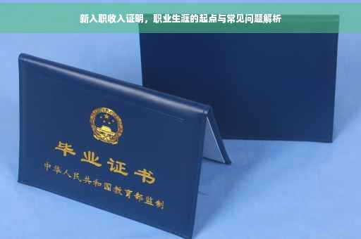 新入职收入证明，职业生涯的起点与常见问题解析
