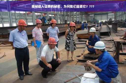揭秘收入证明的秘密，为何我们需要它？???