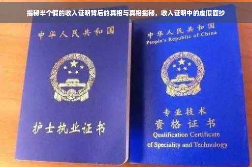 揭秘半个假的收入证明背后的真相与真相揭秘，收入证明中的虚假面纱