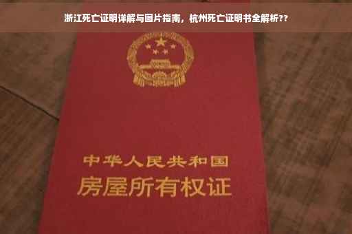 浙江死亡证明详解与图片指南，杭州死亡证明书全解析??