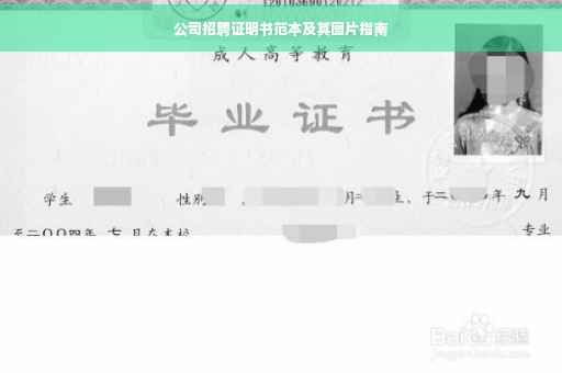 公司招聘证明书范本及其图片指南