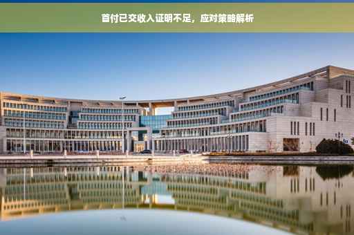 首付已交收入证明不足，应对策略解析