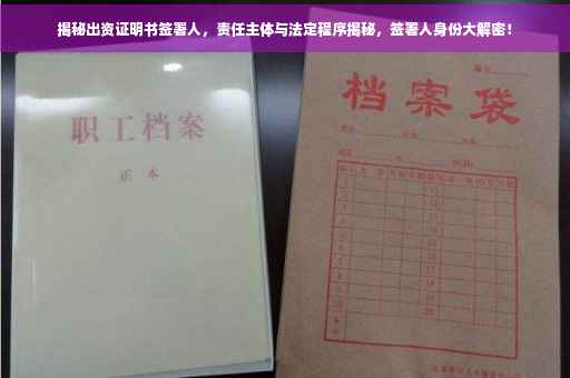 揭秘出资证明书签署人，责任主体与法定程序揭秘，签署人身份大解密！