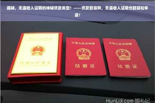 揭秘，无需收入证明的神秘贷款类型！——贷款新姿势，无需收入证明也能轻松申请！